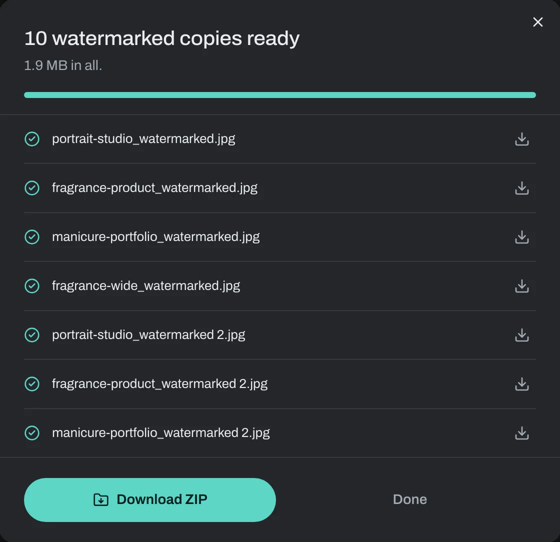 The export window listing finished copies with a Download ZIP button